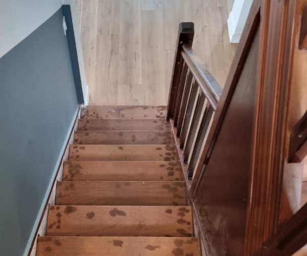 Escalier rénové et peint en deux tons à Guipavas par Ouest Déco.